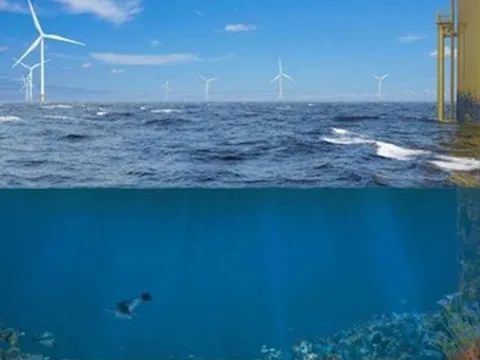 Khi trang trại điện gió ngoài khơi không chỉ tạo ra điện