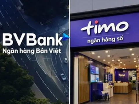 Timo rục rịch đổi chủ, BVBank còn lại gì trong bài toán sinh lời?
