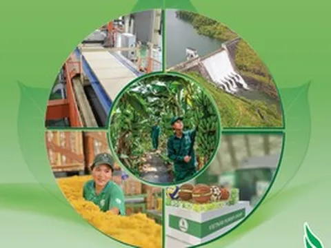 Hiệu quả từ tinh gọn bộ máy, mở rộng dư địa phát triển mới của VRG