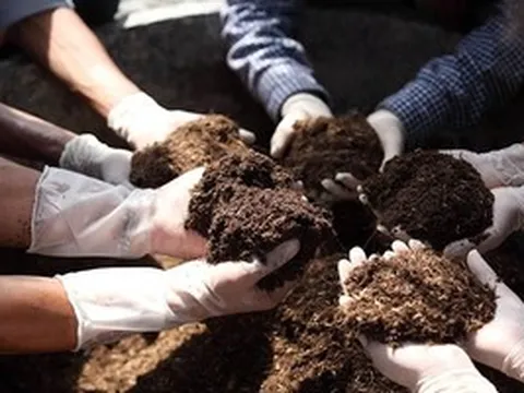 Bán ra gần nửa triệu tấn, thu về hơn 186 triệu USD chỉ sau 2 tháng, một mặt hàng Việt đang 'ăn nên làm ra'