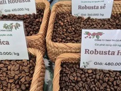 Giá cà phê hôm nay 18-3: Arabica – Robusta đồng loạt tăng, tín hiệu đảo chiều rõ nét