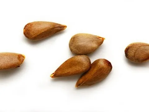 Loại quả ngon mắt nhưng chứa "chất kịch độc", mâm cơm nhà nào cũng có mà không hay