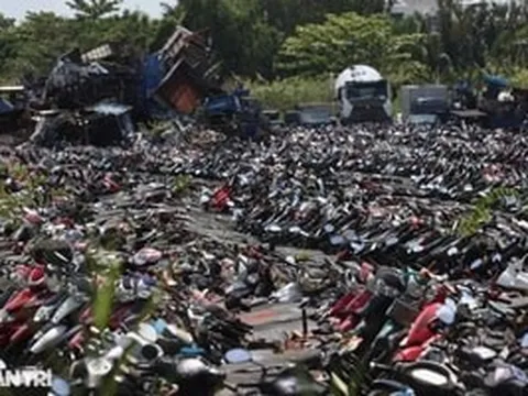 Gần 7.000 xe máy vi phạm chuẩn bị được đấu giá ở TPHCM: Giá chỉ từ hơn 700.000 đồng/chiếc