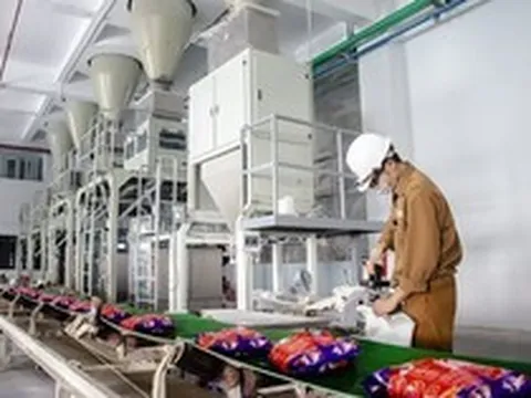 “Giải cứu” bất thành Hóa chất Đức Giang