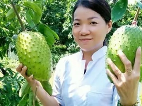 Đi lên từ gian khó, nông dân Cần Thơ kiếm được 10 tỷ/năm nhờ loại quả to bự từng bị ‘ngó lơ’, nay tạo ra sản phẩm đi thẳng sang Mỹ, Hàn Quốc