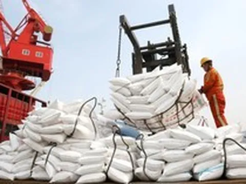 Không phải dầu mỏ, một mặt hàng khác đang thiếu hụt có nguy cơ làm rung chuyển ngành thực phẩm toàn cầu, Trung Quốc 'ngư ông đắc lợi'