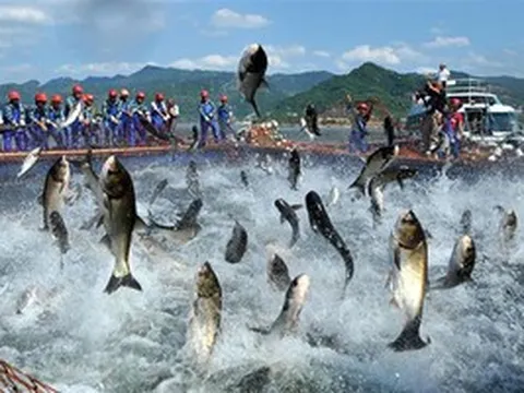 Trung Quốc 'mở hầu bao', Việt Nam đón tin cực vui từ một 'mỏ vàng' vừa thu hơn 1,7 tỷ USD: Loạt quốc gia cùng săn đón