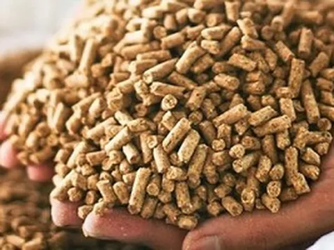 Một 'mỏ vàng' mới nổi của Việt Nam âm thầm 'hốt bạc': 2 tháng thu hơn 250 triệu USD, Trung Quốc chi đậm