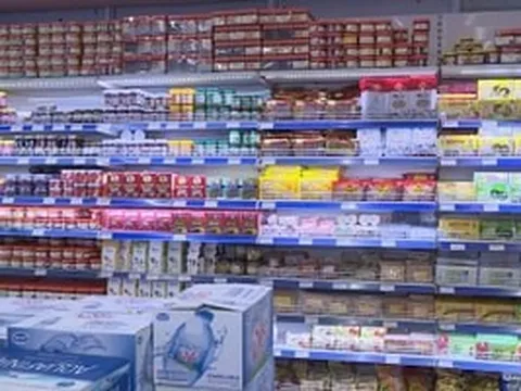 400 doanh nghiệp quốc tế đến Việt Nam trong 1 ngày để đi săn 'miếng bánh' 80 tỷ USD