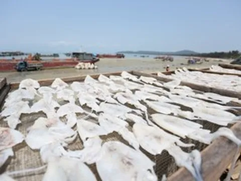 Không phải tôm hay cá, Hàn Quốc 'mê mẩn' một đặc sản biển của Việt Nam: 'Xuống tiền' mạnh tay, chi gần 42 triệu USD mua về