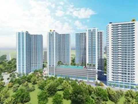 Doanh nghiệp nhóm Trần Thái được giao đất làm dự án Khu cao ốc căn hộ