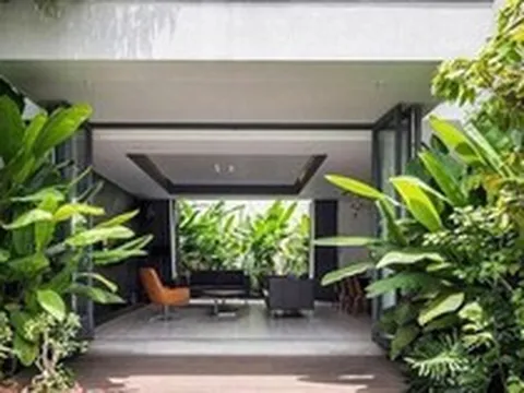 3 loại cây đừng trồng trước hiên nhà: Dễ mang vận xui và hao tài