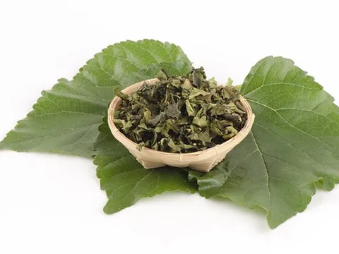 Đừng chỉ ăn quả, lá cây này quý như "nhân sâm của người nghèo", đang vào mùa đi chợ là thấy