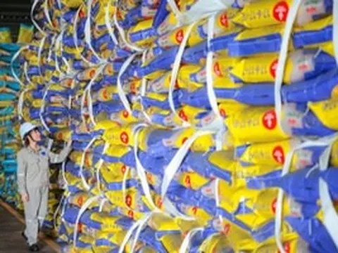Đạm Phú Mỹ cung ứng 25 triệu tấn sản phẩm, từng bước vươn ra thị trường quốc tế