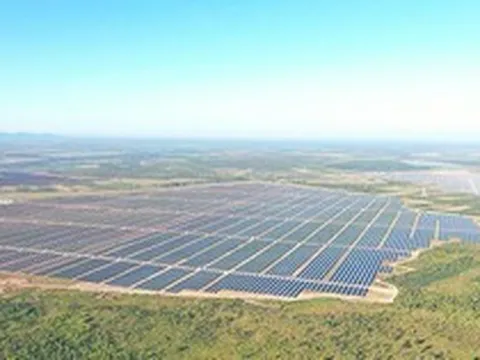 Xử phạt loạt doanh nghiệp nhóm Xuân Thiện