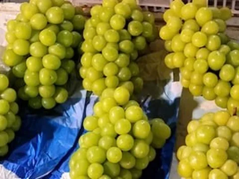 Người Việt mạnh tay chi tiền mua trái cây Trung Quốc, riêng một loại quả tăng tới 35%