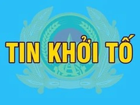 Khởi tố Chủ tịch, Tổng Giám đốc, Giám đốc, Kế toán, Trưởng phòng, đăng kiểm viên, cán bộ thú y, môi trường...