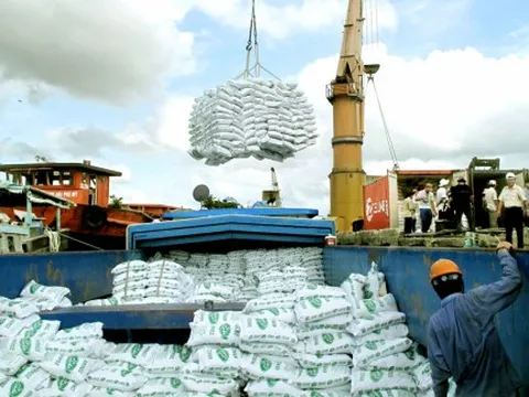 Xuất khẩu gạo gặp khó vì chiến sự Trung Đông