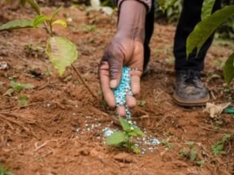 Sức ép từ Trung Đông, một cường quốc đề nghị EU hoãn thuế để 'cứu' giá phân bón