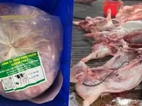 Vụ 300 tấn thịt lợn bệnh: Gói thầu hơn 10 tỷ đồng đưa thực phẩm bẩn vào trường tiểu học ở Hà Nội