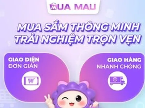 Kinh doanh online 2026: Không cần vốn lớn, chỉ cần chọn đúng điểm tựa