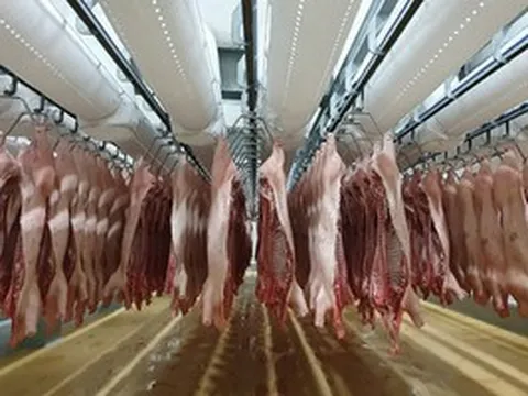 Việt Nam nhập khẩu thịt lợn nhiều nhất từ đâu? Bất ngờ với thị trường đứng đầu