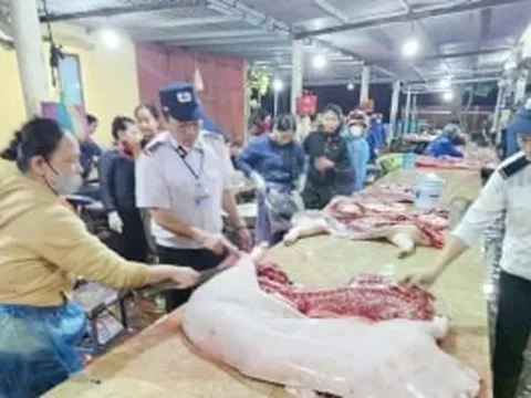 Vụ thịt lợn dịch vào bếp ăn trường học: Trách nhiệm của lực lượng thú y ra sao?