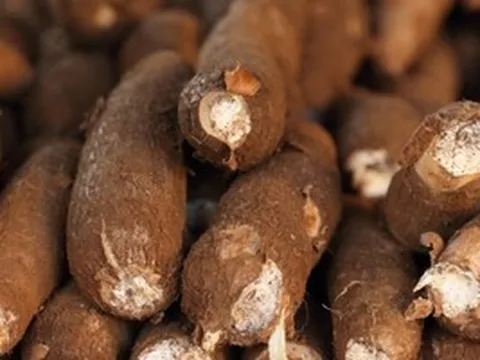 Sản vật được ví như 'vàng trắng' dưới lòng đất của Việt Nam bất ngờ 'lên giá', Trung Quốc gần như ôm trọn thị phần