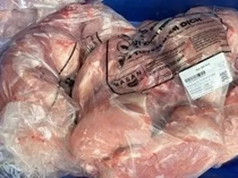 Phụ huynh đề nghị làm rõ thông tin bếp ăn trường học nào đã tiêu thụ lợn bệnh