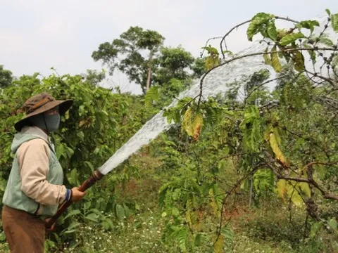 Nông dân Tây Nguyên tưới cây bằng điện mặt trời, vừa tiết kiệm xăng vừa tăng năng suất