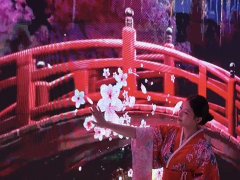 Du khách thích thú trải nghiệm trà đạo, ngắm hoa anh đào Nhật Bản, Hàn Quốc tại TPHCM