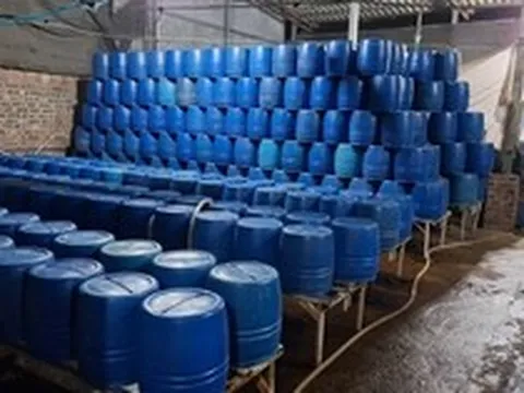 Dùng chất độc có thể gây chết người để sản xuất hơn 500 tấn giá đỗ