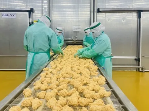 Doanh nghiệp thực phẩm lo mất thị trường Indonesia