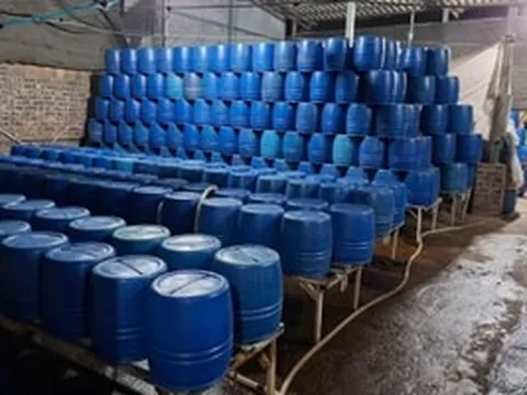 Người phụ nữ sinh năm 1990 dùng chất độc có thể gây chết người để sản xuất hơn 500 tấn giá đỗ