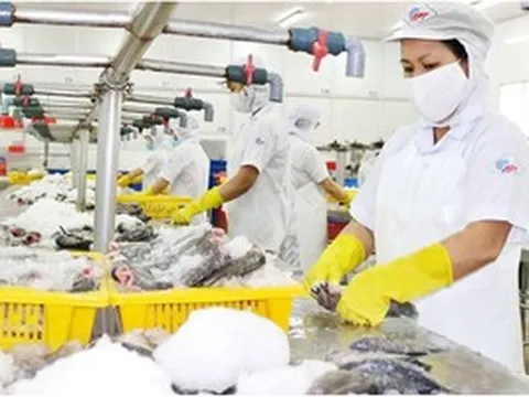 Ngậm đắng vì vay vàng, một công ty làm nai lưng 17 năm vẫn 'bất lực' trước 5.833 lượng SJC nợ tại Sacombank