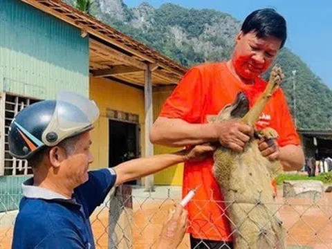 Cảnh báo bệnh dại tăng mạnh: Hàng nghìn người đi tiêm, đã có ca tử vong thương tâm