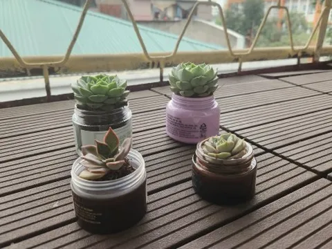 Nghệ thuật tái chế và tái sử dụng trong gia đình hiện đại