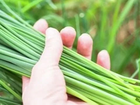 Vi chất cốt lõi giúp cơ thể hấp thụ canxi ngăn ngừa loãng xương có cực nhiều trong loại rau bình dân bán khắp chợ Việt mà không phải ai cũng biết