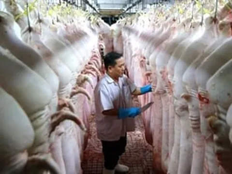 Việt Nam sẽ vận hành sàn giao dịch thịt lợn vào cuối tháng 4 này