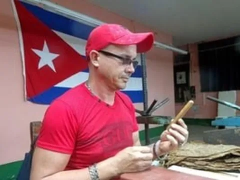 Nông dân Cuba đã trồng thứ hảo hạng, giúp đem về ngoại tệ lớn: Hiện đã biết áp dụng ‘giải pháp xanh’ này giữa lúc thiếu dầu