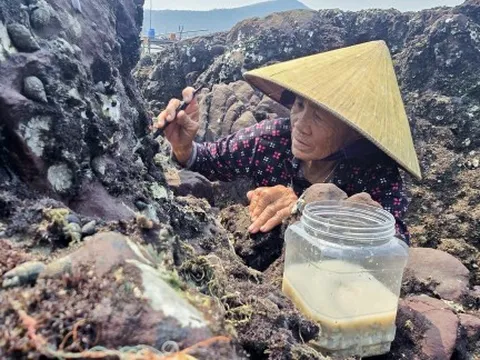Nghề “đục đá kiếm tiền” của phụ nữ vùng biển