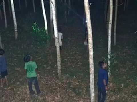 Nghề lạ hái ra tiền: Chỉ cần xô với đèn pin, hàng nghìn người dân Huế săn sản vật, mỗi đêm kiếm tới 500 triệu đồng