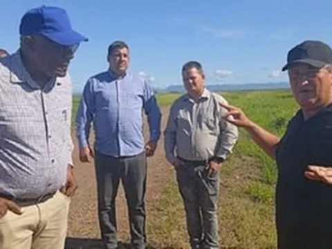 Giống lúa Việt Nam trổ bông trên cánh đồng Cuba, Phó Chủ tịch nước bạn đã xuống tận ruộng thị sát