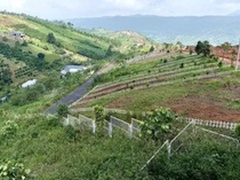 Đất nền phân lô 'chôn vốn' 4 năm, rao bán cắt lỗ không ai mua