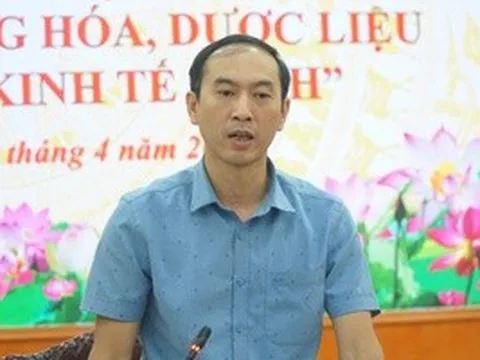 Nỗ lực đưa “quốc bảo” sâm Lai Châu vào danh mục dược điển Việt Nam