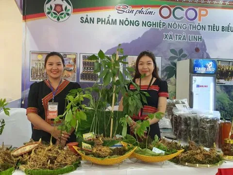 500 sản phẩm “made in Đà Nẵng” đồng loạt ra mắt với định hướng xuất khẩu vươn tầm quốc tế