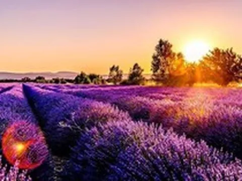 Một doanh nghiệp báo lãi quý 1 gấp 18 lần, vượt kế hoạch năm, cổ phiếu lập tức "tím lịm"