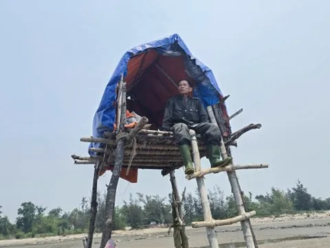 “Canh bạc” trên bãi triều của người dân miền biển