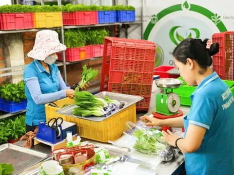 Rau an toàn khó “chen chân” vào bếp ăn học đường