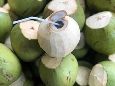 Dừa bất ngờ thành mặt hàng được săn đón